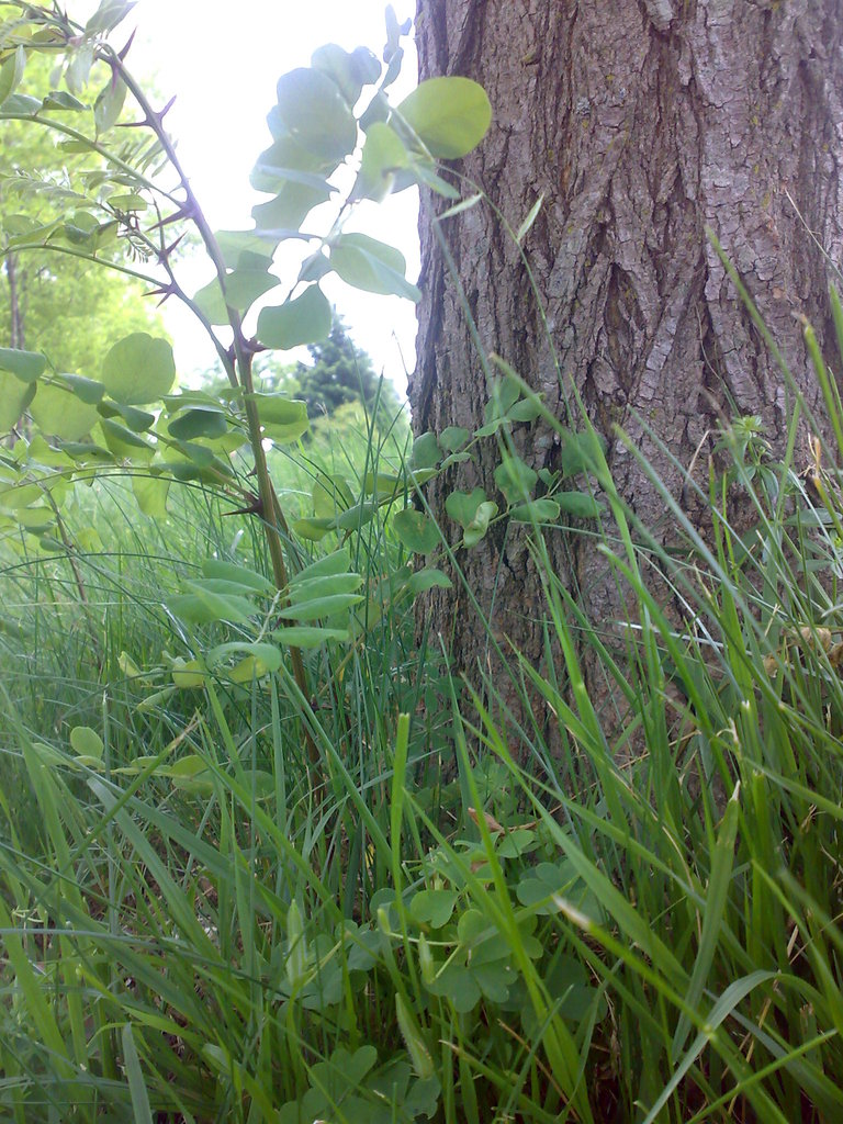 Foto 31